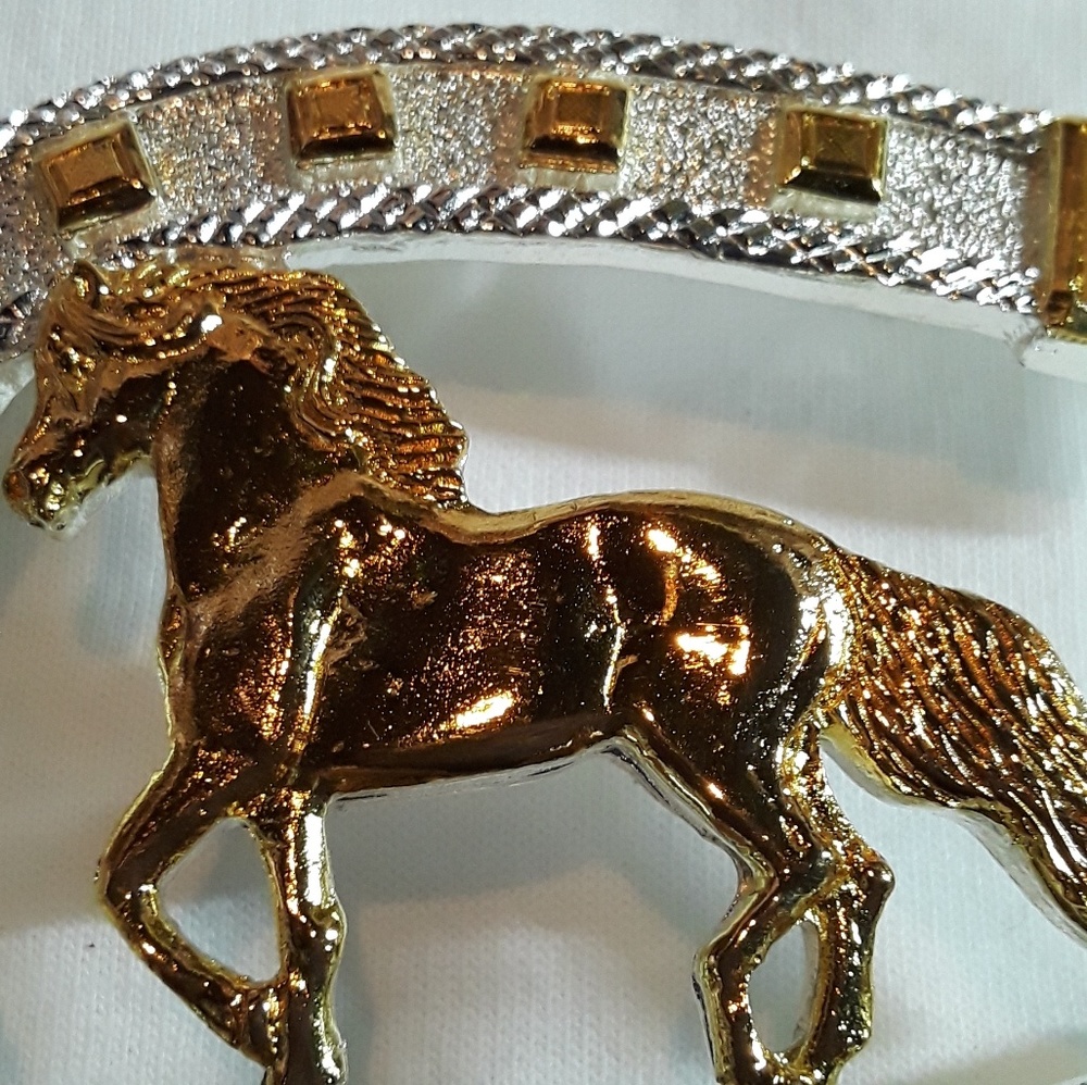 Buckle - Picture 3 of 4